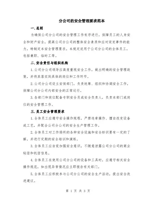 分公司的安全管理要求范本
