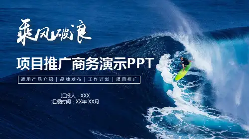 项目推广商务演示PPT