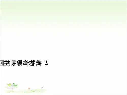 三年级上册科学-植物有哪些相同特点-教科版(共28张)-PPT课堂课件