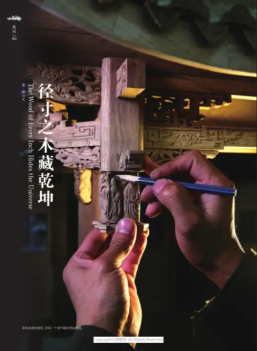 径寸之木藏乾坤