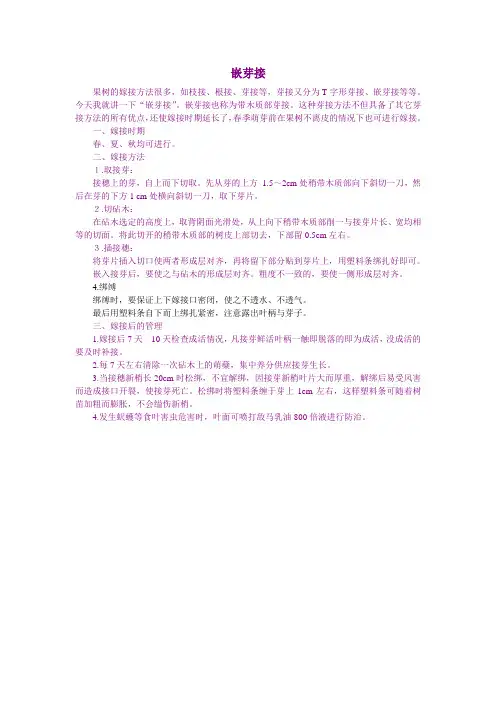 嵌芽接