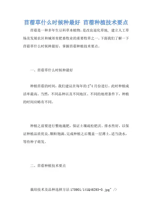 苜蓿草什么时候种最好 苜蓿种植技术要点