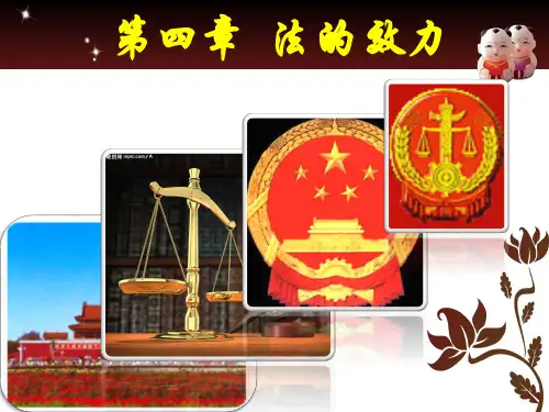 法理学导论