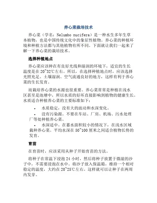 养心菜栽培技术