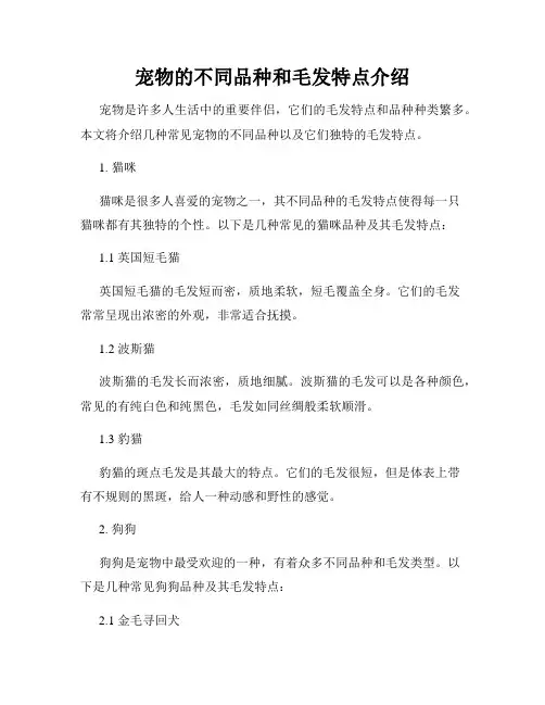 宠物的不同品种和毛发特点介绍
