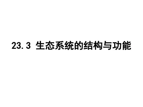 北师大版生物八下23.3《生态系统的结构和功能》配套同步课件(共26张PPT)