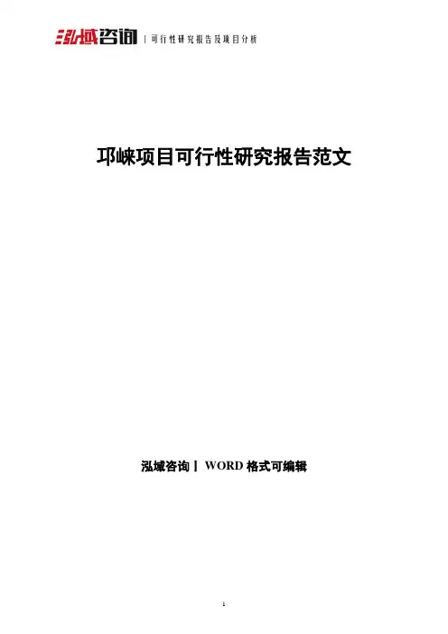 邛崃项目可行性研究报告范文