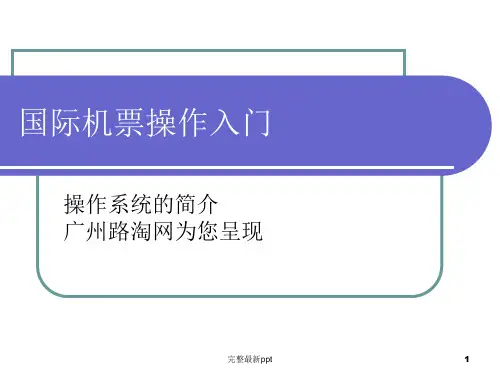 国际机票黑屏查询操作入门ppt课件