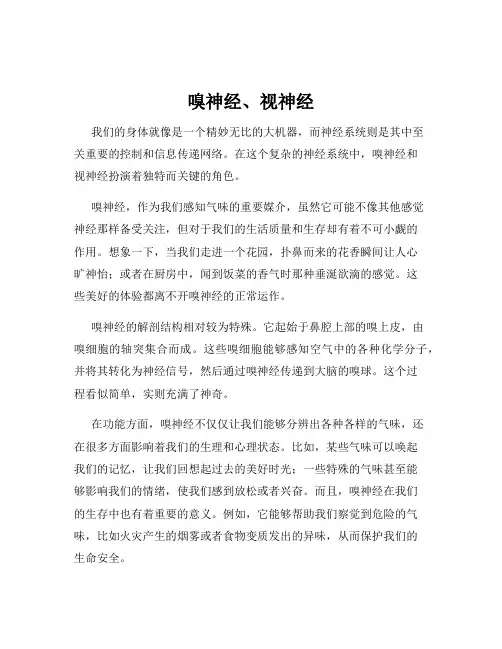 嗅神经、视神经