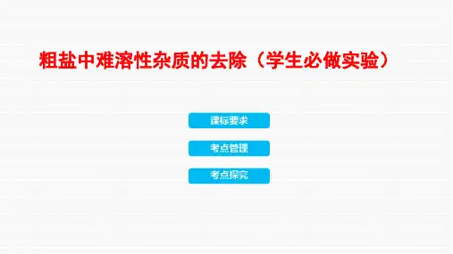 2024年中考化学一轮复习---粗盐中难溶性杂质的去除(学生必做实验)课件