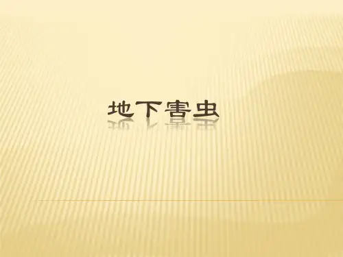 地下害虫防治分解