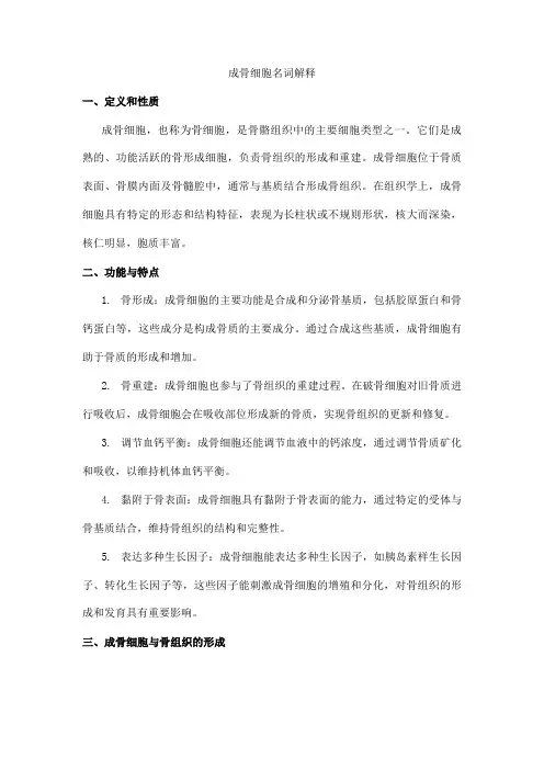 成骨细胞名词解释组织学