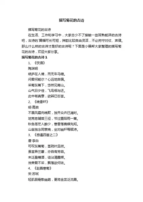 描写菊花的古诗