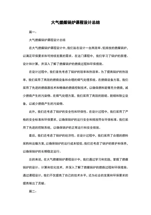 大气燃煤锅炉课程设计总结
