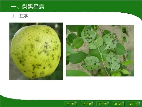 梨树病虫害PPT课件