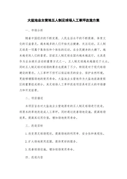 大盐池业主营地五人制足球场人工草坪改造方案