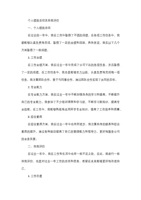 个人绩效总结及自我评价