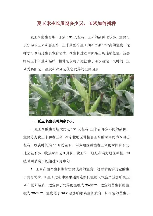 夏玉米生长周期多少天,玉米如何播种