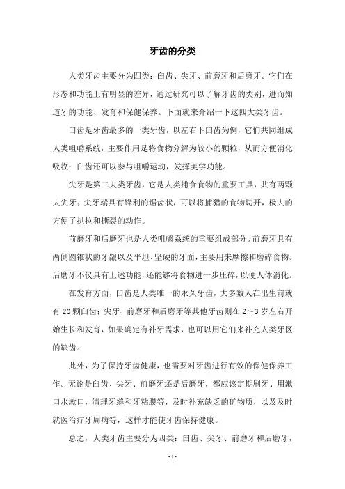 牙齿的分类