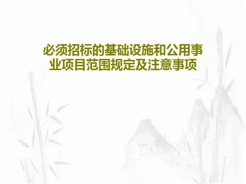 必须招标的基础设施和公用事业项目范围规定及注意事项共37页文档
