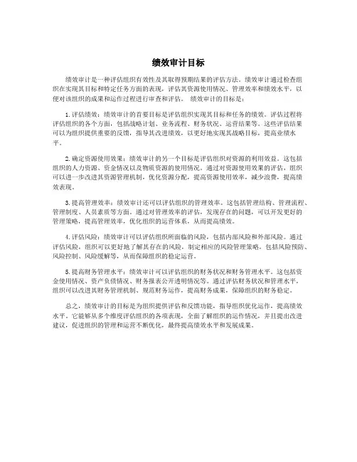 绩效审计目标