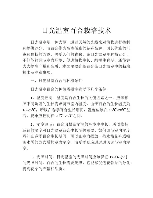 日光温室百合栽培技术