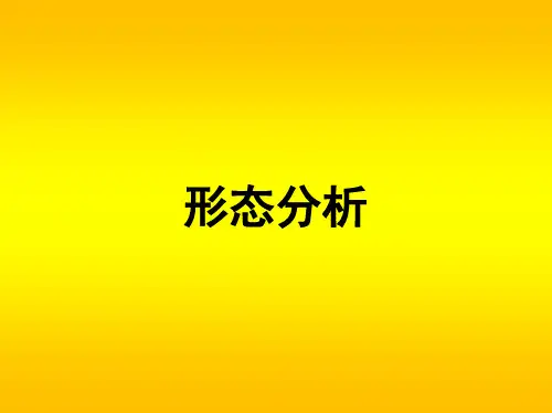 形态分析(全)