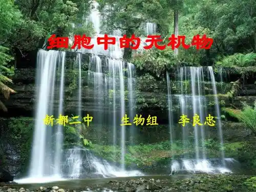 细胞中的无机物