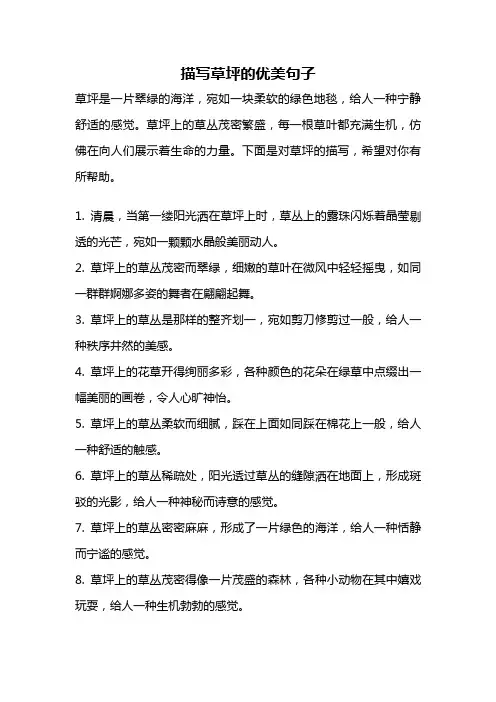 描写草坪的优美句子