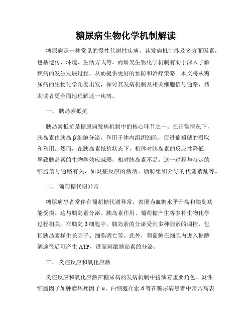 糖尿病生物化学机制解读