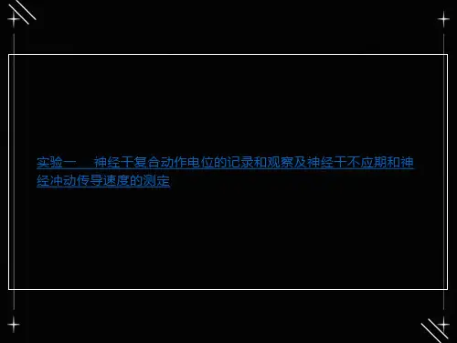 实验一神经干不应期及神经冲动传导