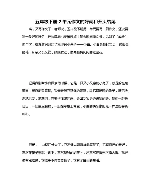五年级下册2单元作文的好词和开头结尾