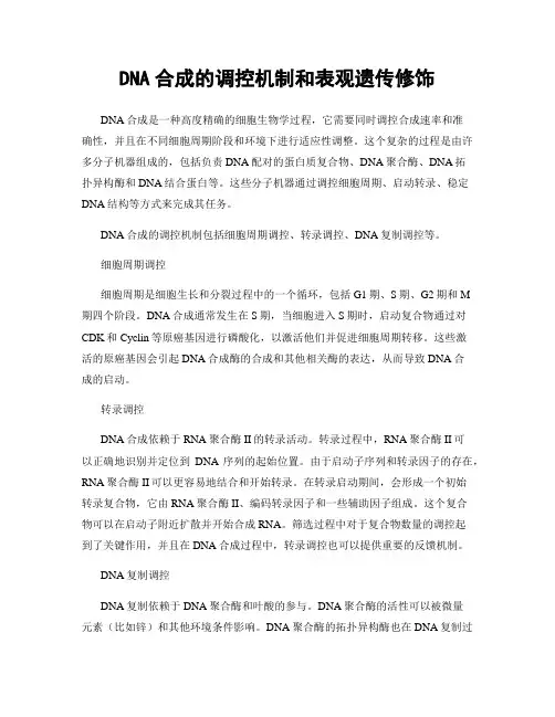 DNA合成的调控机制和表观遗传修饰