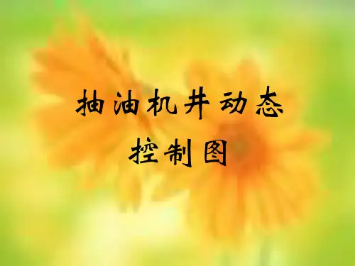 抽油机井动态控制图汇总