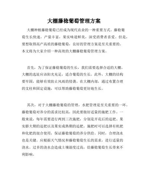 大棚藤稔葡萄管理方案