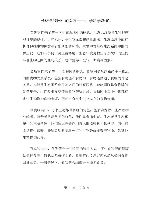 分析食物网中的关系——小学科学教案