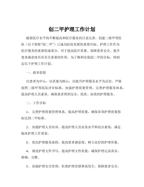 创二甲护理工作计划