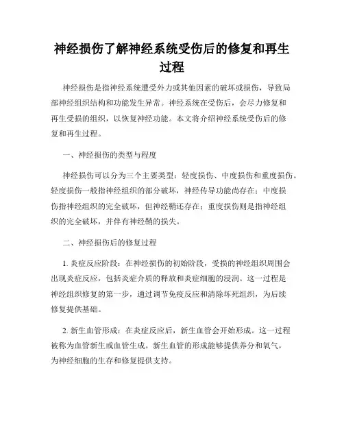 神经损伤了解神经系统受伤后的修复和再生过程