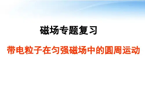高考物理 带电粒子在磁场中的圆周运动课件1