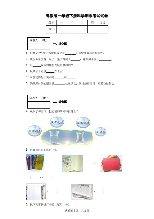 粤教版一年级下册科学期末考试试卷