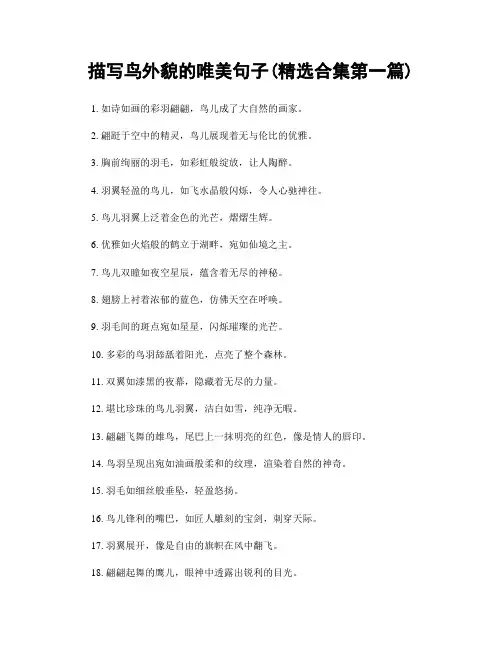 描写鸟外貌的唯美句子(精选合集两篇)