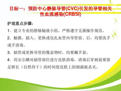 最新icu十大安全目标-PPT文档
