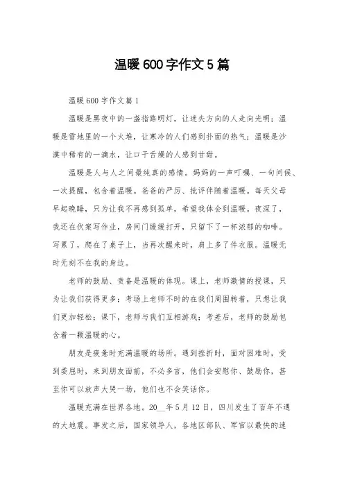 温暖600字作文5篇