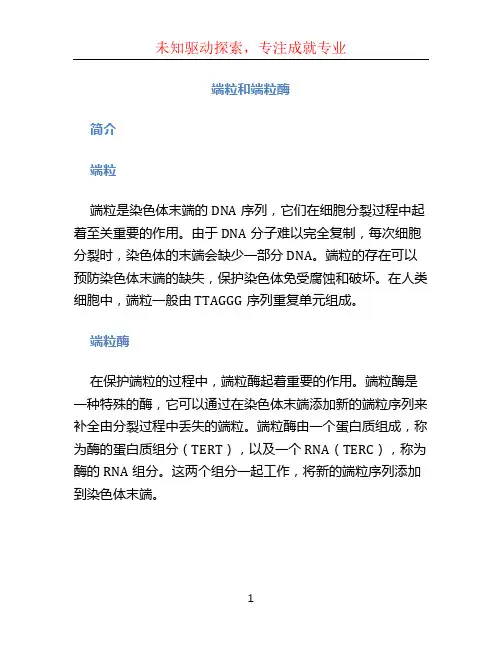 端粒和端粒酶 (2)