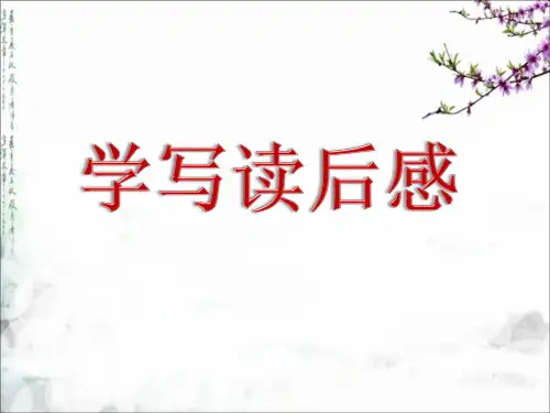 小学作文作文教学《读后感》 PPT课件(共31张)