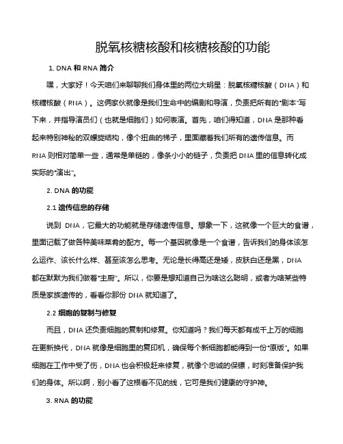 脱氧核糖核酸和核糖核酸的功能
