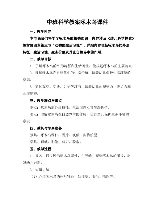 中班科学教案啄木鸟课件