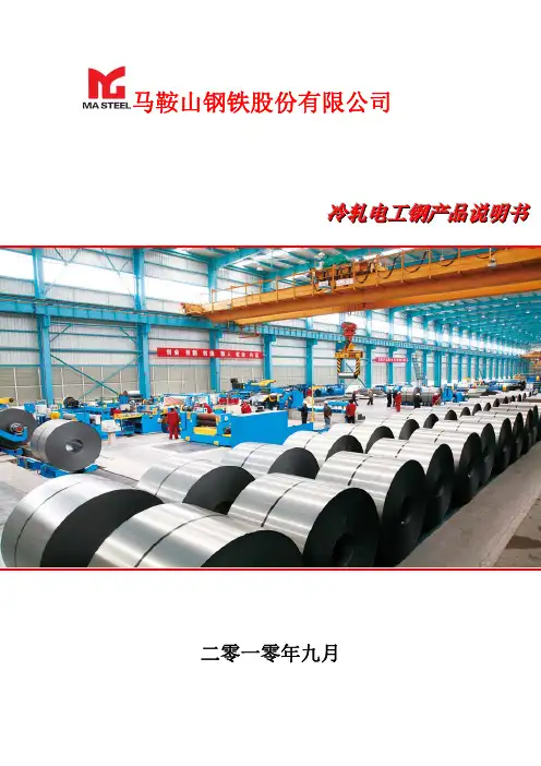 马钢冷轧电工钢产品说明书-20101102