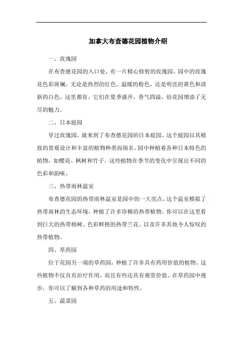 加拿大布查德花园植物介绍