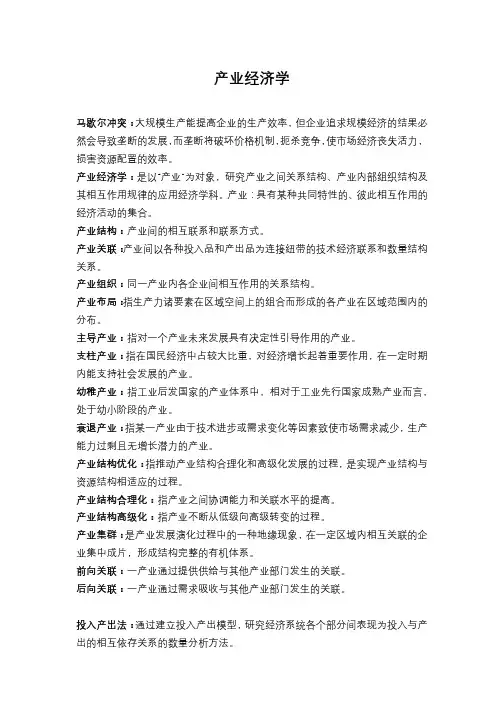 (完整版)产业经济学名词解释(精简)